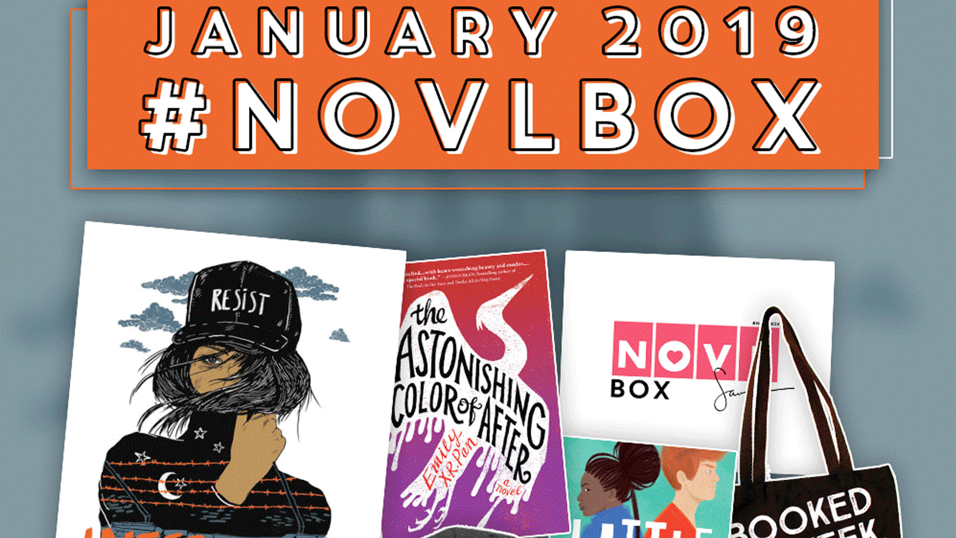The NOVL Blog, Featured Image for Article: The January 2019 NOVLBox!