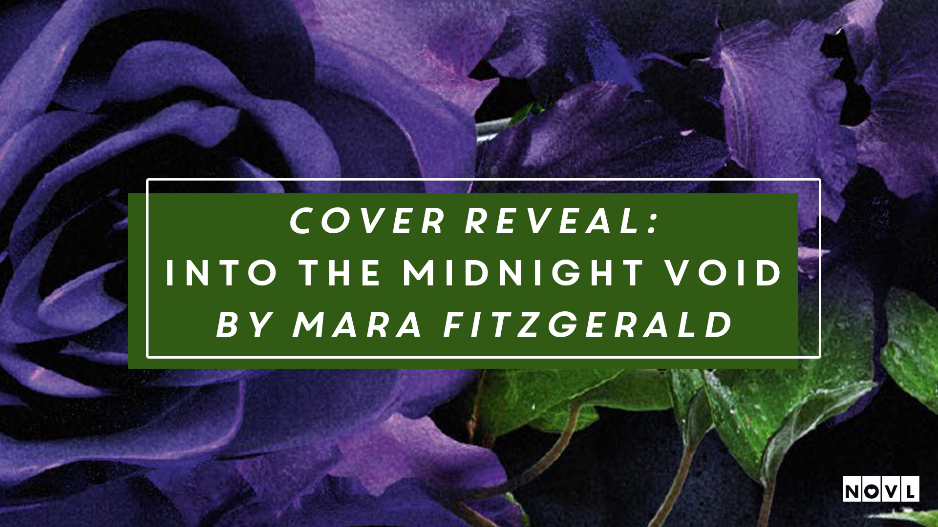 The NOVL Blog, Featured Image for Article: Cover Reveal: Into the Midnight Void by Mara Fitzgerald