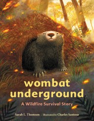 Wombat Underground