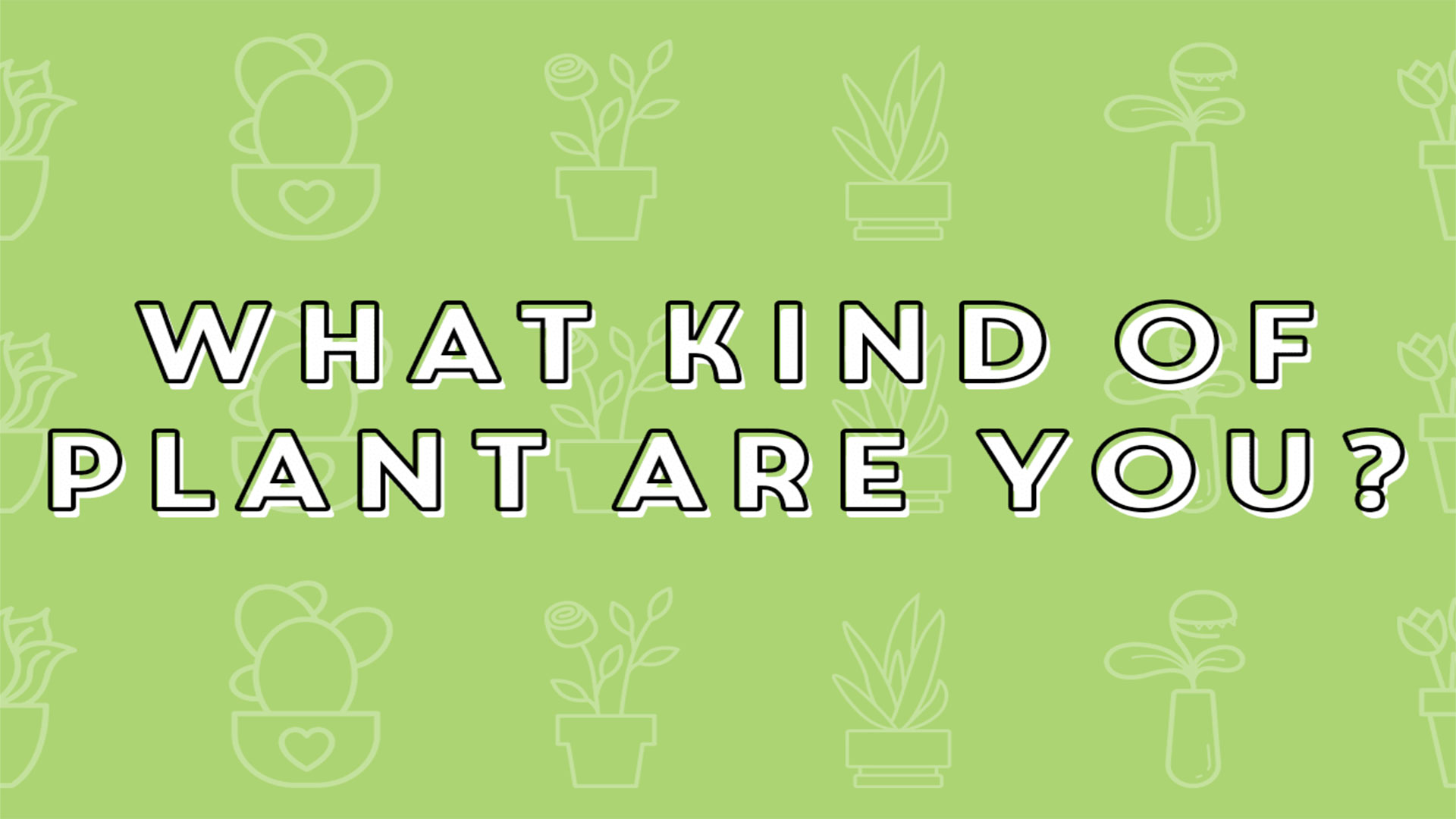 The NOVL Blog, Featured Image for Article: What Kind of Plant are you?