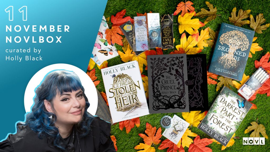 The NOVL Blog, Featured Image for Article: The November NOVLbox: Curated by Holly Black